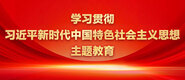 美女被鸡扒操学习贯彻习近平新时代中国特色社会主义思想主题教育_fororder_ad-371X160(2)